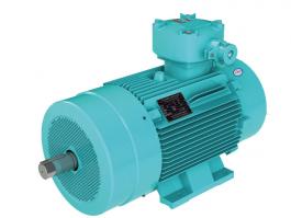 YB3EJ隔爆型電磁制動(dòng)三相異步防爆電動(dòng)機(jī)